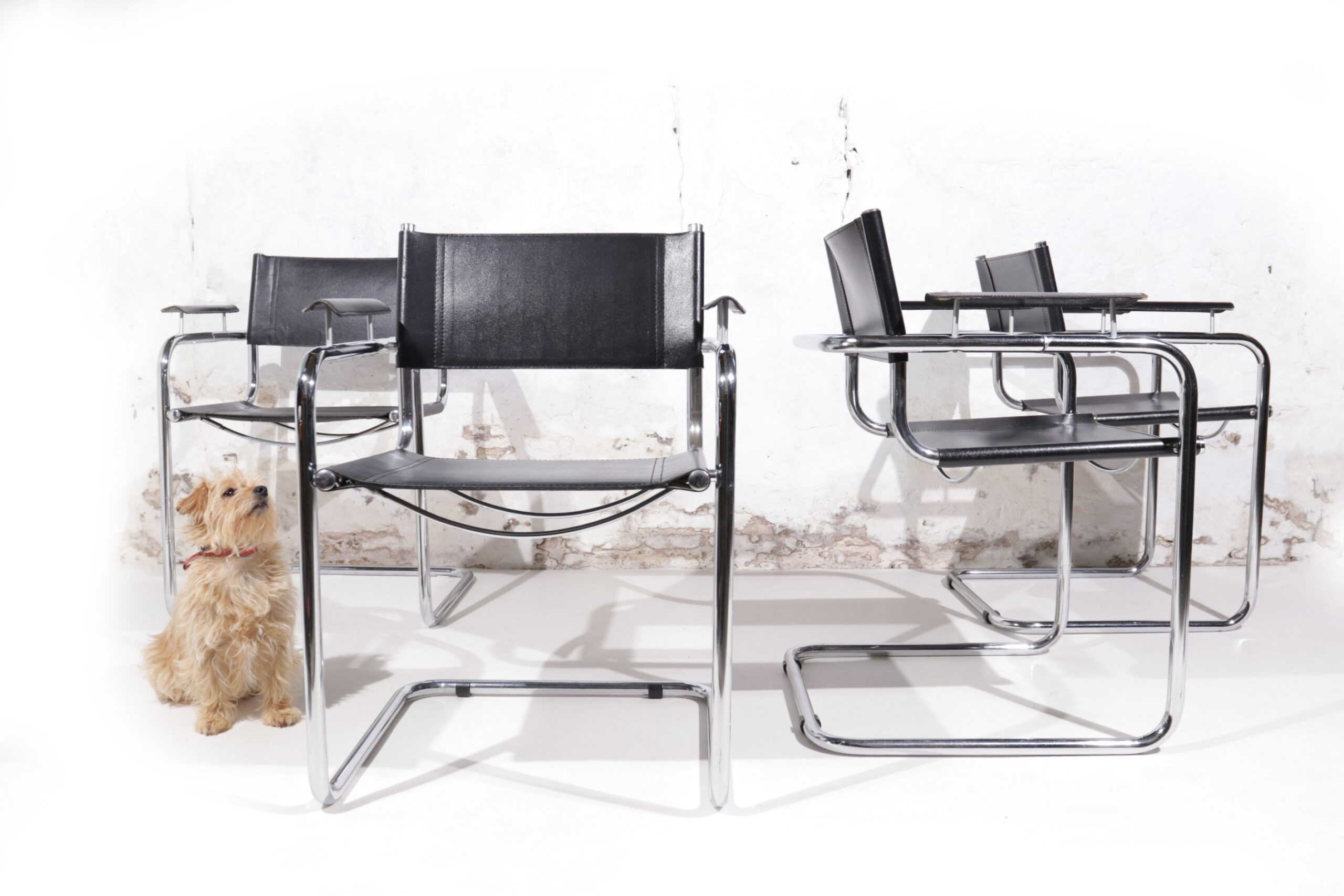 partij toewijding Steken 4 Marcel Breuer / Mart Stam stijl stoelen met zwevende armleuning –  Dehuiszwaluw