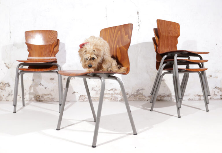 Vintage Design Obo Eromes Pagholz V-vorm schoolstoelen