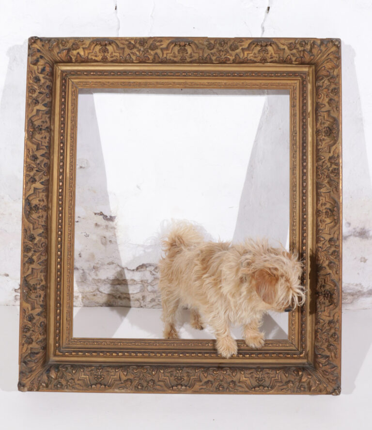 Large 19th Century Bronzed French Picture / Art Presentation Frame