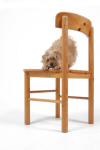 Deense grenen stoelen Rainer Daumiller stijl 1975 – foto 5
