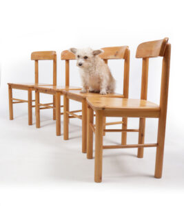 Deense grenen stoelen Rainer Daumiller stijl 1975 – foto 2