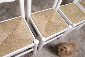 Witte biezen eetkamerstoelen Vico Magistretti Perriand stijl jaren 70 – foto 15