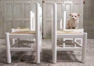 Witte biezen eetkamerstoelen Vico Magistretti Perriand stijl jaren 70 – foto 16