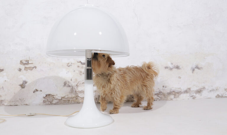 Mid Century Italian Opaline White Murano Table Lamp