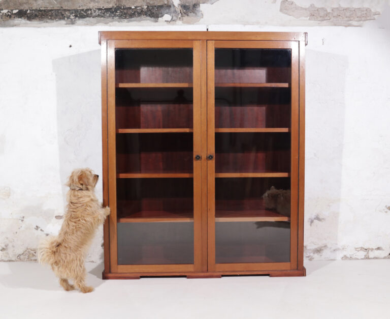 Display Cabinet / Bookcase Sleek Design 1960’s