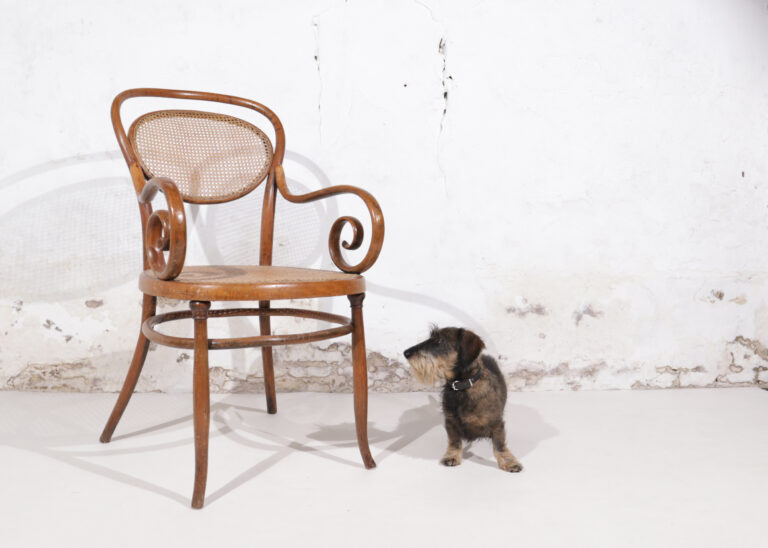 Vienna Secession J. & J. Kohn 1880/90 Armchair No. 11