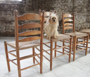 Oude Hollandse eiken ladderback stoel met biezen zitting – foto 10