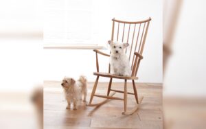 Scandinavische mid-century eiken schommelstoel – foto 1