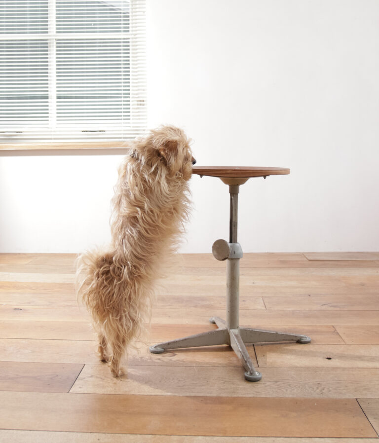 Industrial Design Friso Kramer Drawing, Architect Stool Ahrend de Cirkel nr3