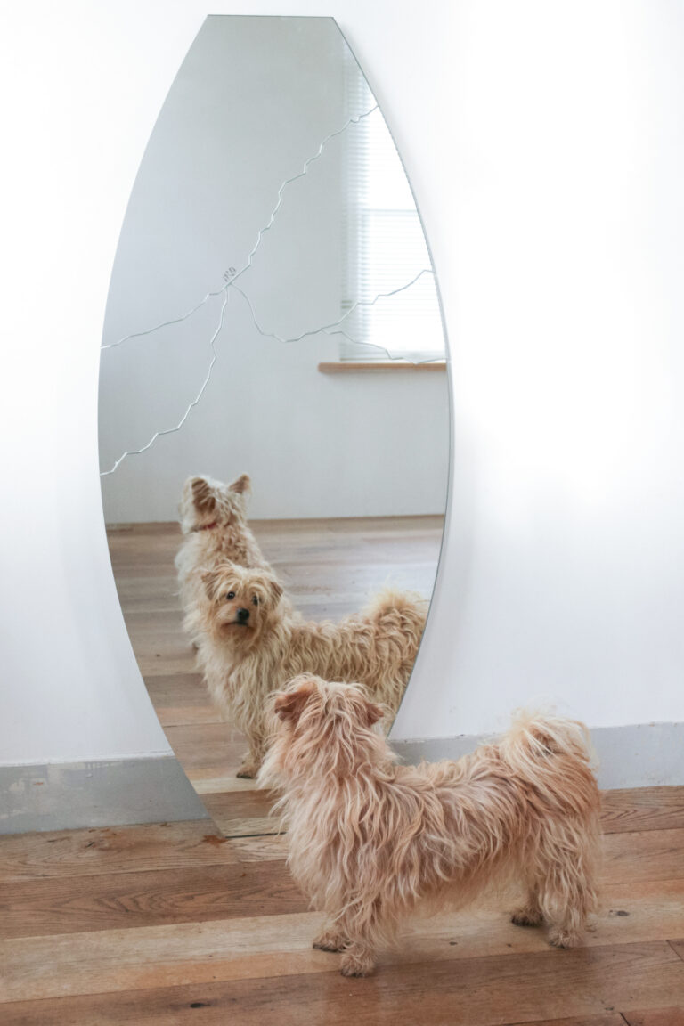 Rimadesio Italien Design Mirror “Broken” Signed