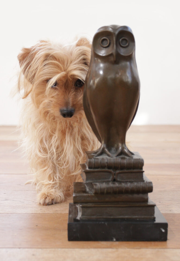 Beautiful Bronze Owl on Books