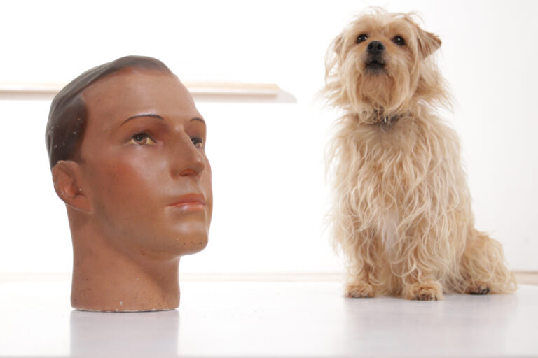 Antique Art Deco 1920s collectable original mannequin display head nr2