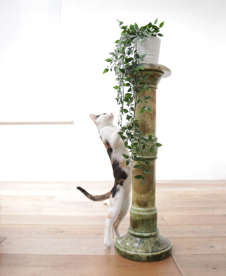 Decoratieve Groen Gemarmerde Zuil