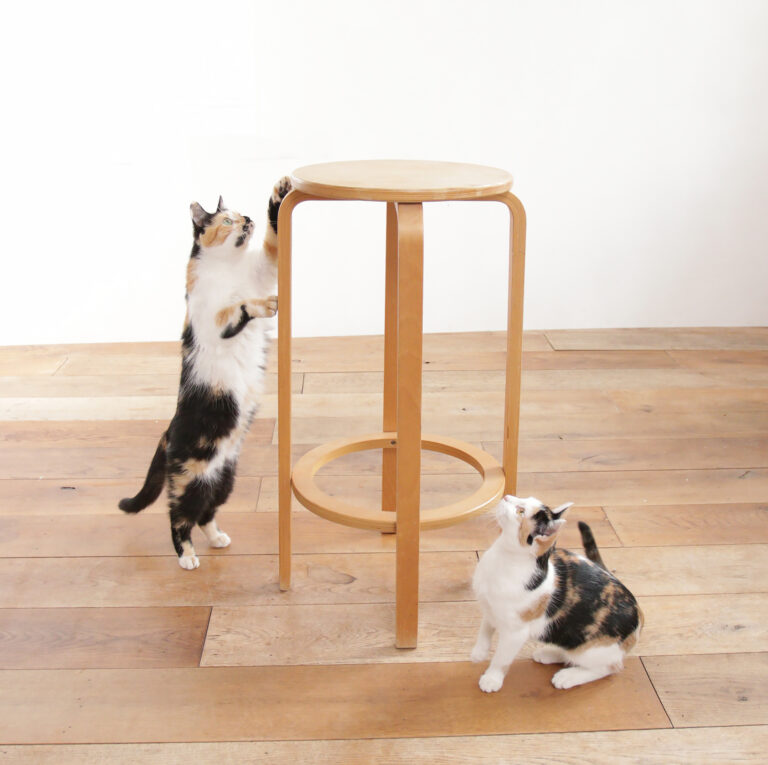 Bentwood Barstool in the Manner of Alvar Aalto / Ikea