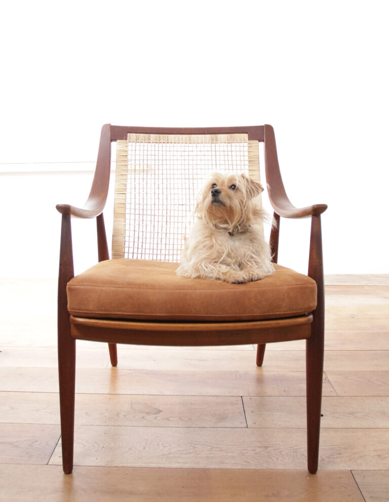 Rare Armchair Mod. 147 Peter Hvidt & Orla Molgaard-Nielsen for France & Son