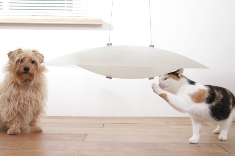 Design Ufo Hanglamp Schaalvorm Diffuus licht gestraald glas