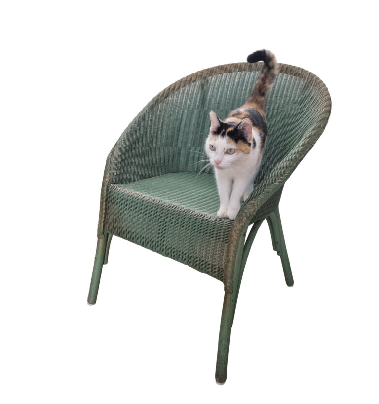 Lloyd Loom kuipfauteuil in groen – gedateerd Nov. 1954