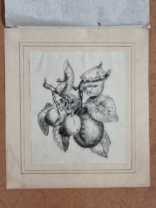 Antieke tekening pruimen aan tak zwart krijt tekenstudie – foto 2