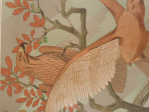 Art nouveau litho adelaars Aigles Verneuil 1897 – foto 4