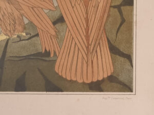 Art nouveau litho adelaars Aigles Verneuil 1897 – foto 6