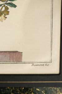 Handgekleurde gravure siervaas Jacque Daumont – foto 5