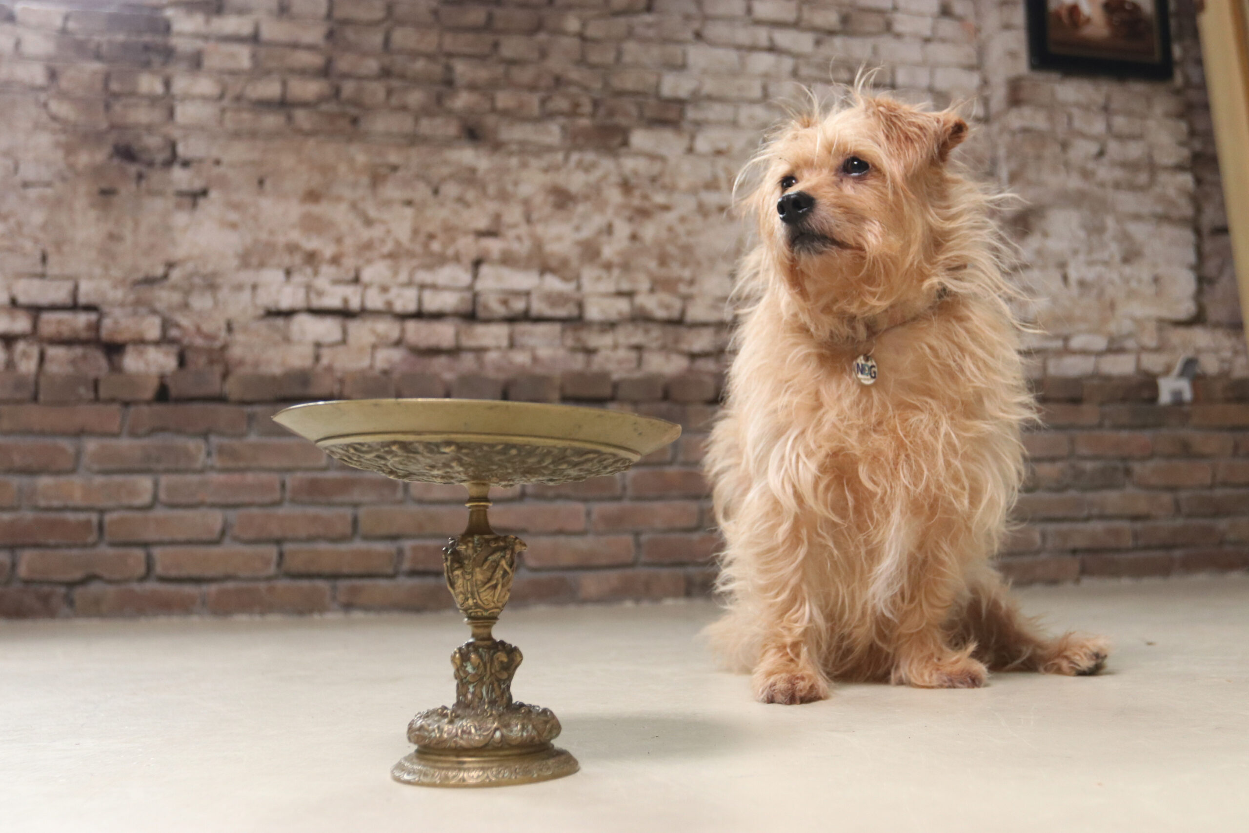 Bronzen tazza met reliëf Minerva, Napoleon III 19e eeuw – foto 9