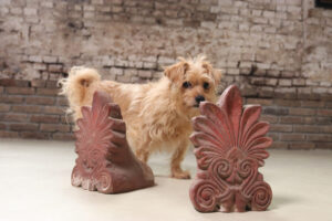 Paar terracotta dakornamenten akrokeramo palmet – foto 1