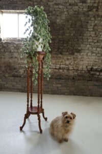 Houten plantenstandaard met getordeerde poten – foto 1
