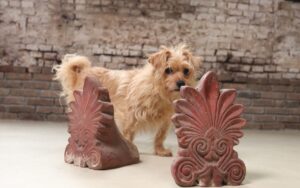 Paar terracotta dakornamenten akrokeramo palmet – hoofdfoto