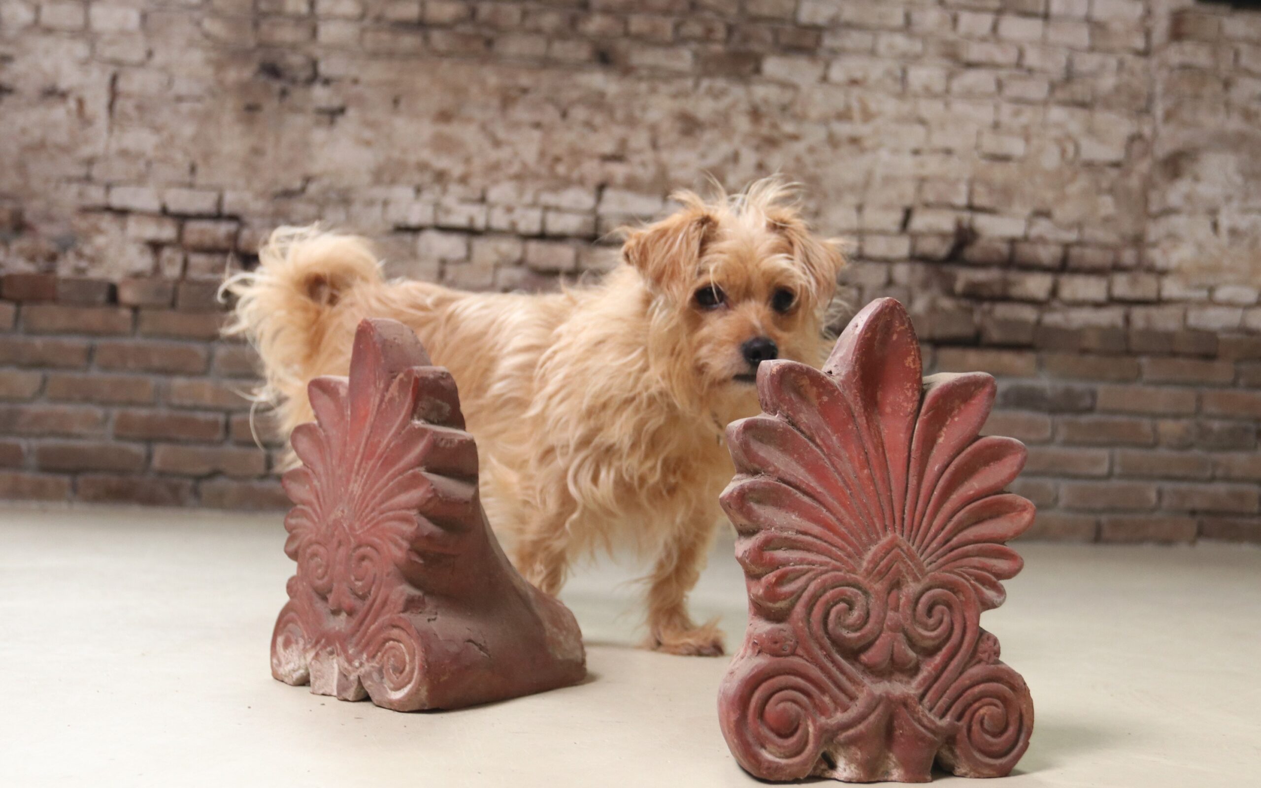 Paar terracotta dakornamenten akrokeramo palmet – hoofdfoto